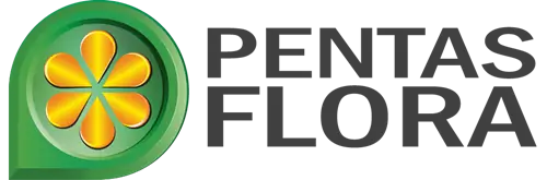 Pentas Flora